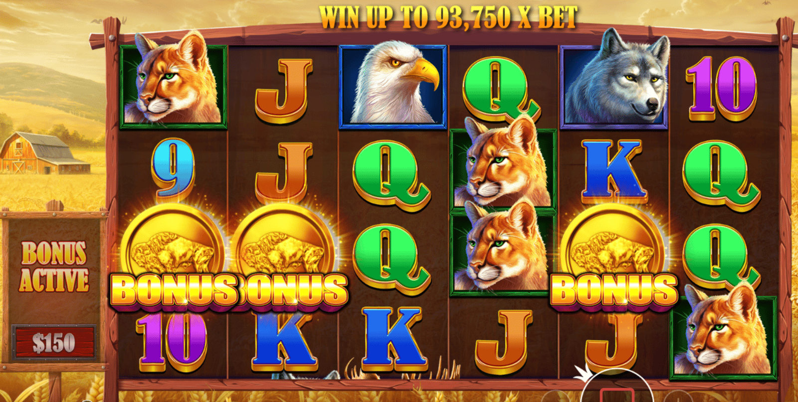Buffalo King från Pragmatic Play. Tre guldmynt (bonus-symboler) har landat på hjulen och startar free spins-läget, här spelas sloten med högsta möjliga RTP.