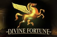Logobild för Divine Fortune