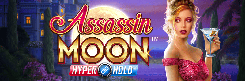 Bild för Assassin Moon